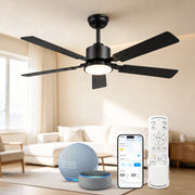 DAYBETTER 52 Inch Ceiling Fan with Lights, WiFi Smart Control, 6-Speed Reversible DC Motor, Dimmable LED Light, Black, JABL318-WUS-D1