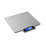 Taylor 3907 22lb Ultra-Precise Digital Stainless Steel Household Kitchen Scale, One, Silver