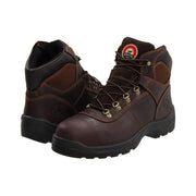Irish Setter Ely 6
