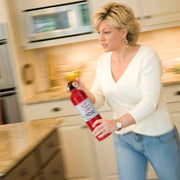 Kidde 21027416MTL 1-A:10-B:C Recreational Fire Extinguisher (2-Pack)