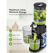 Juilist Masticating Juicer Machine, 150W, 60 RPM, BPA-Free, High Juice Yield, Quiet Operation, Easy to Clean, Includes Cleaning Brush, Black, JS8101