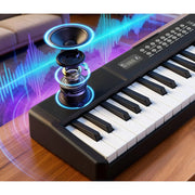 Doulami 61 Key Electric Keyboard Piano, Foldable Design, Lighted Keys, LCD Display, Black