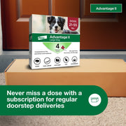 Advantage II Topical Flea Treatment for Large Dogs 21-55 lbs, Fragrance-Free, Waterproof, 4-Pack, 86336707
