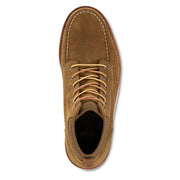 Irish Setter Setter Fifty 6