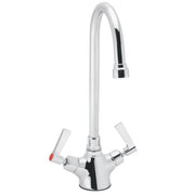 Speakman Commander Double Handle Laboratory Faucet, Polished Chrome, 0.5 GPM Flow Rate, Single Hole Deck Mount, SC-7122-E
