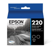 Epson T220120-D2 220 DURABrite Ultra Ink EPST