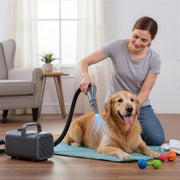 Edx Dog Blower Pet Hair Dryer, Adjustable Wind Speed, 3 Temperature Modes, 4 Detachable Nozzles, 6.5ft Cord, Gray, CW-CSJ-5JT-GY