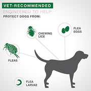Bayer Advantage II Flea and Lice Treatment for Medium Dogs, 4 doses, 11 - 20 Pound