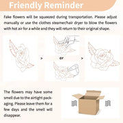 Glasseam LXZS6731 14.2