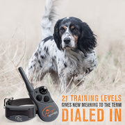 SportDOG Brand SD-425X FieldTrainer 425X Remote Trainer Rechargeable Dog Training Collar with Shock