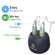 EarCentric EX2-P-S Rechargeable Behind-the-Ear Beige kit (2 Piece) - Silver