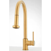 CCY 1.75 SNSR 1HDL PD KITC FCT BG