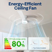 SPECSTAR 42 Inch Low Profile Ceiling Fan with Dimmable 3CCT LED Light, Remote Control, Flush Mount, Quiet Reversible DC Motor, White