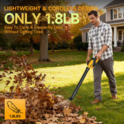 Hitofish Small Cordless Leaf Blower, 20V, 210 MPH Wind Speed, 3 Speed Modes, Includes 2 Batteries and Fast Charger, 3 Nozzles, Lightweight Handheld Yard Tool, HI-3617