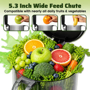 Bluebow Cold Press Masticating Juicer with 5.3-Inch Large Feed Chute, High Juice Yield, Quiet 150W Motor, Easy to Clean, Black, JS2311-13