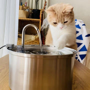 KittySpout MFM0300 Stainless Steel Cat Water Fountain 3.2L/108oz - Durable, Quiet, Easy to Clean