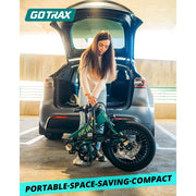 Gotrax F1V2 20