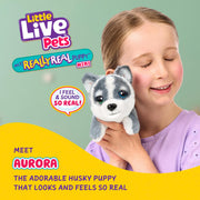 Little Live Pets My Really Real Puppy Mini Aurora the Husky Interactive Plush Toy with 20+ Sounds and Reactions, Cozy Basket Included, Ages 5+