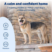 PetSafe Smart Dog Trainer