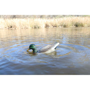 MOJO Outdoors Hw2554 Dabbler Motorized Feeding Duck Decoy