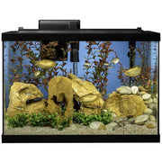 Tetra NV33821 20-Gallon LED Aquarium Starter Kit w/ Filter, Heater & Plants