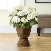 My Texas House 14 in Brown Woven Urn-Style Planter with Scalloped Rim and Transparent Inner Lining
