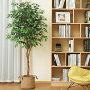 DR.Planzen 6FT Tall Artificial Ficus Tree w/Natural Wood Trunk & Lifelike Leaves, Green