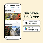 Birdfy Smart Bird Feeder with 1080P HD Camera, 60FPS Video, AI Bird Identification, Night Vision, Cloud Storage, Suet Holder, Brown