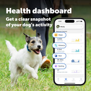 PetSafe GPS Dog Tracker, Real-Time Location Tracking, Escape Alerts, Activity Monitoring, Blue, PTK00-18270