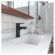 Pfister Pfirst Modern Bathroom Sink Faucet, Single Handle, Matte Black, 1.2 GPM, Single Hole, Pop-Up Drain LG142060B