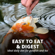 TetraPond Sticks Pond Fish Food for Goldfish and Koi, 2.65 lb AQ-78346