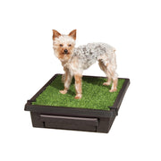 PetSafe Pet Loo Portable Dog Potty, Small, Easy-to-Clean Grass Mat, Odor Control, Indoor/Outdoor Use