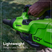 Greenworks 2429902 60V 630 CFM 170 MPH Leaf Blower with 2.5 Ah Battery & 3 Amp Charger