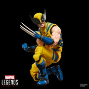 Hasbro Marvel Legends Series Wolverine 6-Inch Action Figure with Battle-Damaged Sleeveless Suit and 3 Accessories 94744356