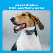 Radio Systems GBC00-16925 Premier Pet Bark Collar