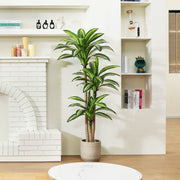DR.Planzen 5ft Dracaena Tree Faux Plants Indoor Outdoor Decor Artificial Tree - Plastic and Silk