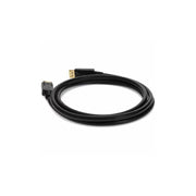 Proline 10ft DisplayPort 1.2 Male to Male Black Cable For Resolution Up to