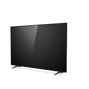 VIZIO 100
