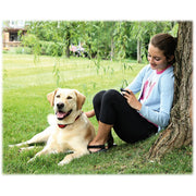 PetSafe PIF00-13672 Stay & Play Wireless Fence for Stubborn Dogs
