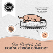 Best Friends by Sheri Lounge Shag Dog Bed, Calming Faux Fur, Taupe, Medium 30 x 20 in 70657