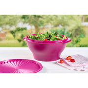 Tupperware Heritage Food Storage Containers, 36-Piece Set, Vintage Pink, BPA-Free, Dishwasher Safe