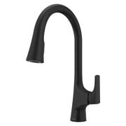 Pfister GT529NRB Norden 1-Handle Pull-Down Kitchen Faucet&44; Matte Black
