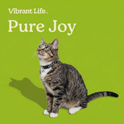 Vibrant Life Reflective Break-Away Adjustable Cat Collar, Black with Silver Lightning Bolt, One Size