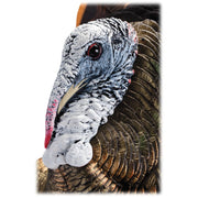 Avian-X HDR Heavy-Duty Realism Full-Body Strutter Turkey Decoy