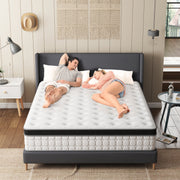 Tvdfgts 12 Inch Queen Hybrid Mattress with Cooling Gel Memory Foam, Individually Pocketed Coils, Medium-Firm, Breathable 3D Knitted Fabric