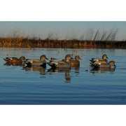 Avery Greenhead Gear Pro-Grade Gadwall Duck Decoys, 6-Pack, Realistic Multicolor Waterfowl Hunting Floating Decoys with 60/40 Forward Weighted Swim Keel, 73145