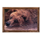 Open Road Brands 90195975 Bear Framed MDF Wall Art by Bonnie Marris