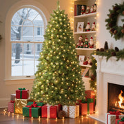 Alupssuc 6.5ft Pre-Lit Premium Artificial Hinged Christmas Tree w/ Warm White Lights, Perfect Choice for Xmas Decoration