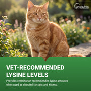 Vetoquinol Viralys L-Lysine Supplement for Cats, Immune Support, Eye and Respiratory Health, Flavored Lysine Powder, 600gm