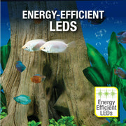 Spectrum Brands NV33834 Tetra 29 Gallon Glass LED Aquarium Kit
